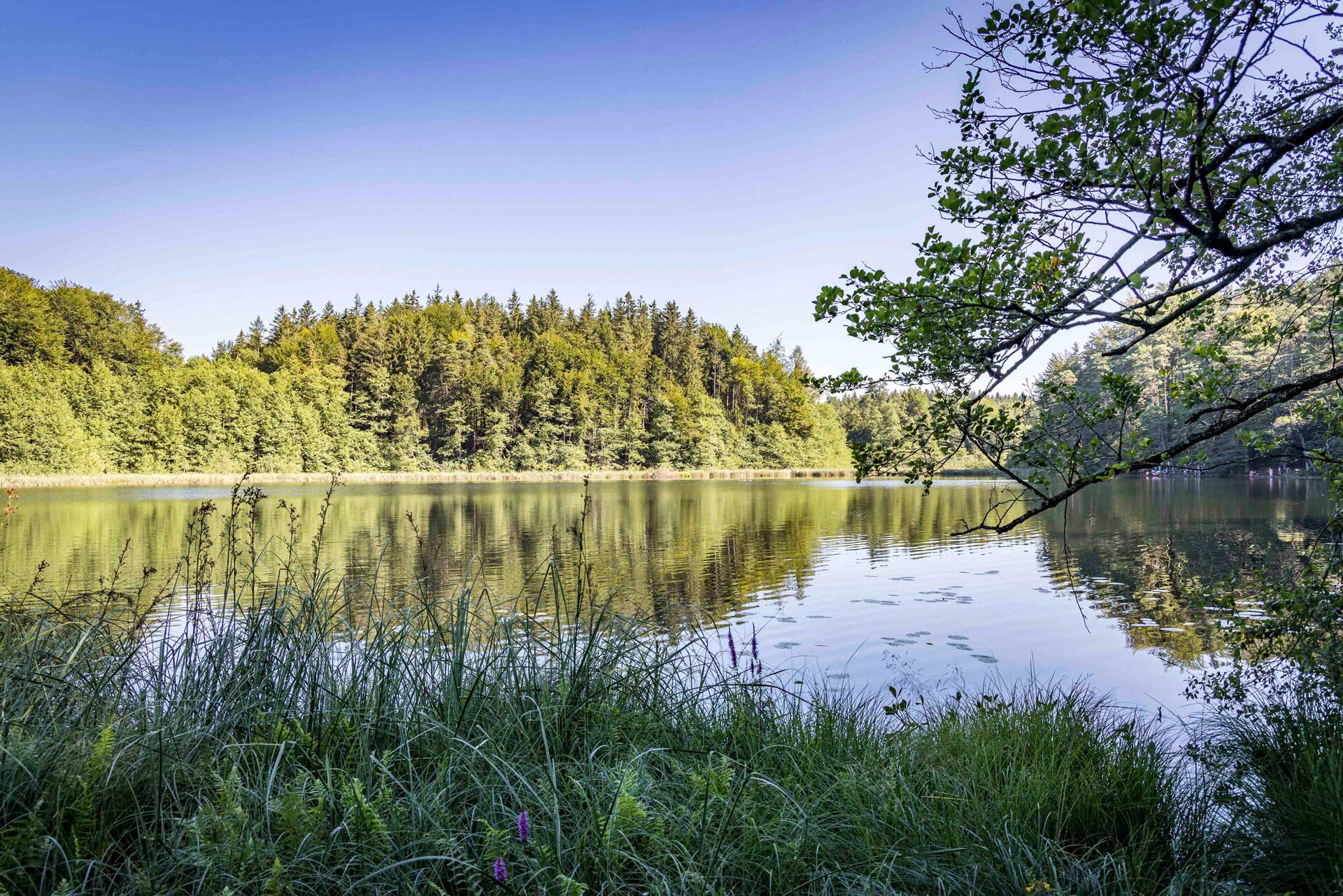 Eggstätt-Hemhofer Seenplatte, CAT 2019 | © Tourist Info Bad Endorf