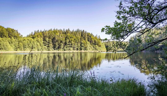 Eggstätt-Hemhofer Seenplatte, CAT 2019 | © Tourist Info Bad Endorf