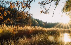 Sonnenstrahlen Seenplatte | © Klemm Daniel