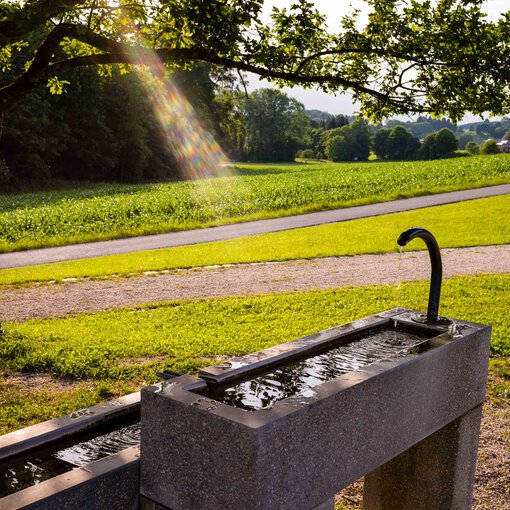 Kneipp-Arm-Becken, Kurpark Bad Endorf | © Tourist Info Bad Endorf, Nitzsche Rainer