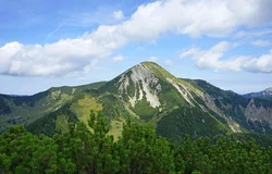 © Chiemsee-Alpenland Tourismus 